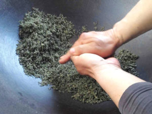 Close up view of Bi Luo Chun tea buds being fried in a wok and shaped by twisting between both hands.
