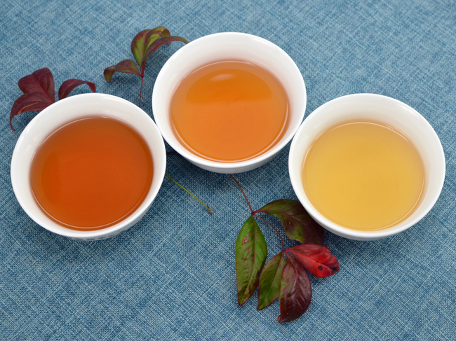Three cups of tea in different shades of amber, on a blue fabric background and surrounded by leaves.