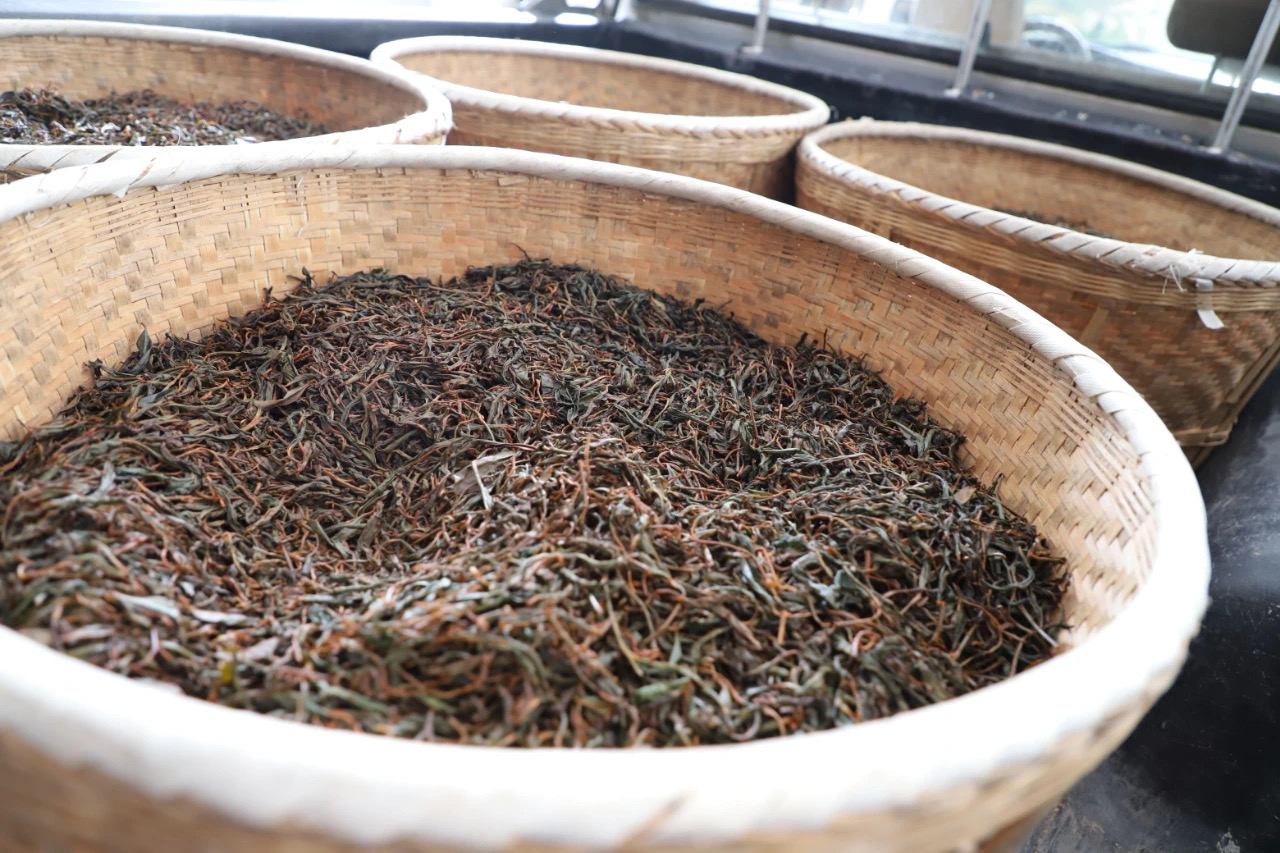 Tongmu black tea oxidizing in a woven basket.