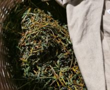 Cloth pulled back to reveal a close view of the darkening leaves of Tongmu black tea oxidizing underneath it in a basket.