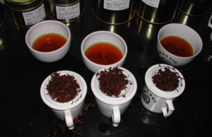 Red infusions of Keemun black tea leaves brewed in evaluation cups.