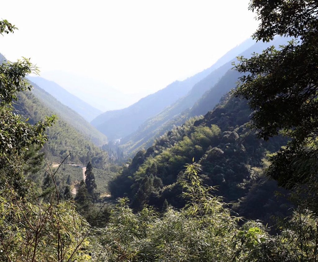 A valley surrounded by lushly forested mountainside, with misty layers of mountains disappearing into the distance.