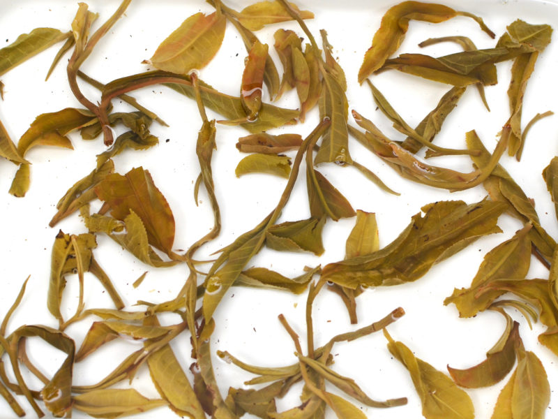 Tian Shui (Sweet Water) wet tea leaves floating in clear water.