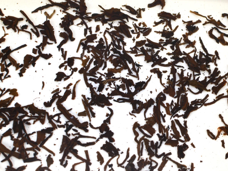 Gongting (Palace Puer) wet tea leaves floating in clear water.