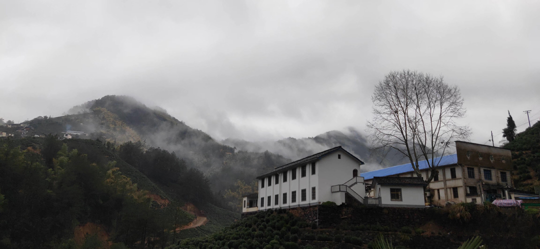 A tea factory with a blue roof under a clouded sky.