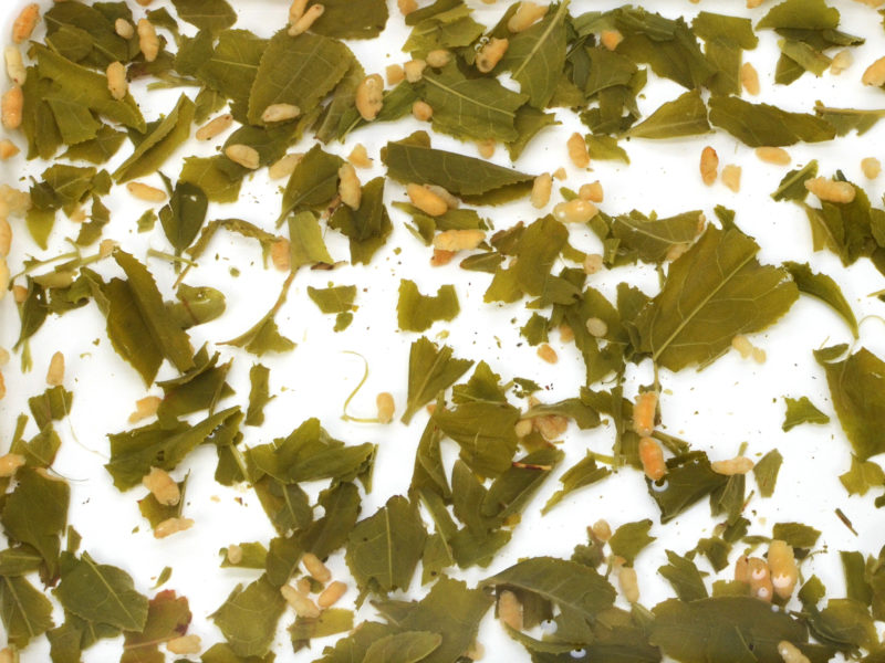 Xuanmicha (Genmaicha) wet tea leaves and rice grains floating in clear water.