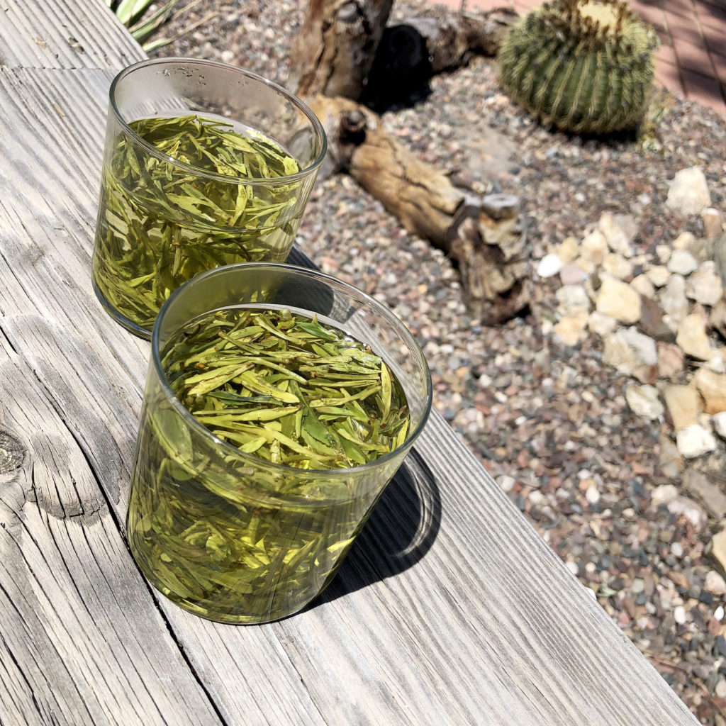 Am Longjing Glasses Backyard Cactus