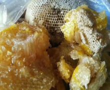 Closeup of wild honeycombs