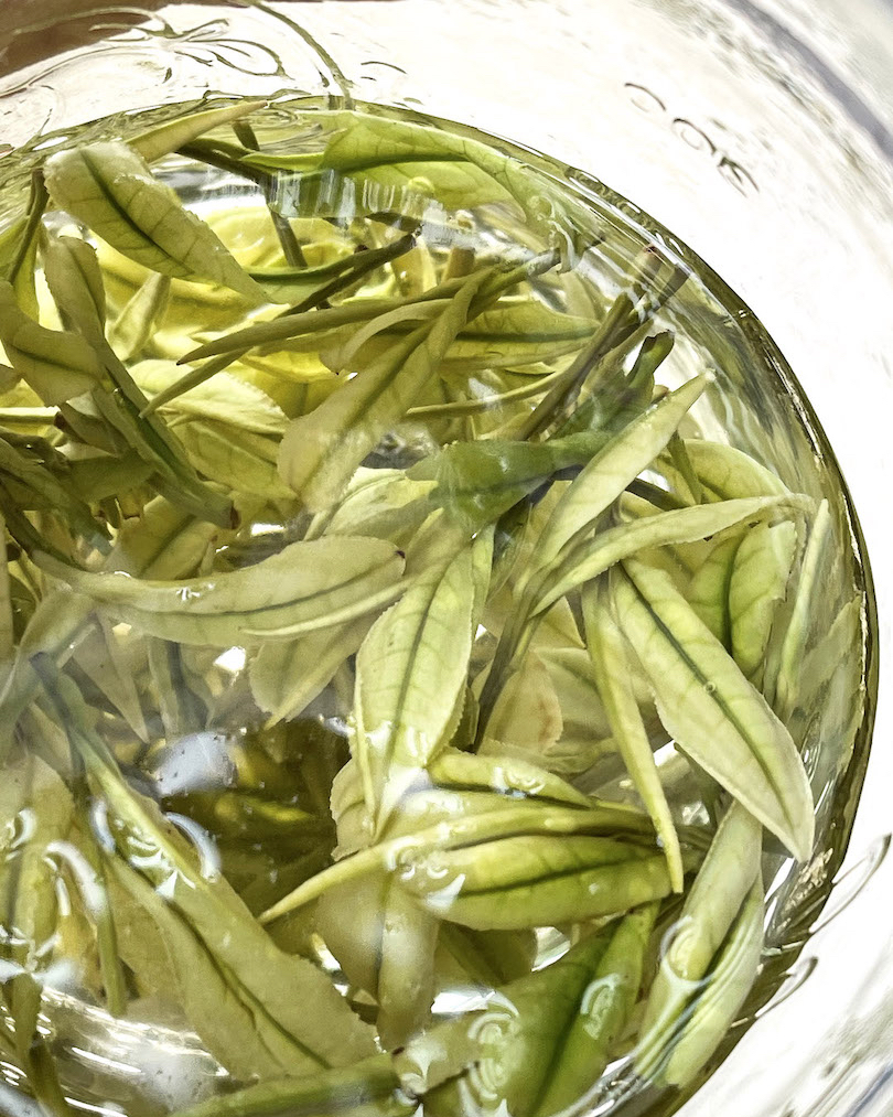 Close-up of the pale leaves of Anji Baicha green tea brewing in a brightly lit crystal glass.