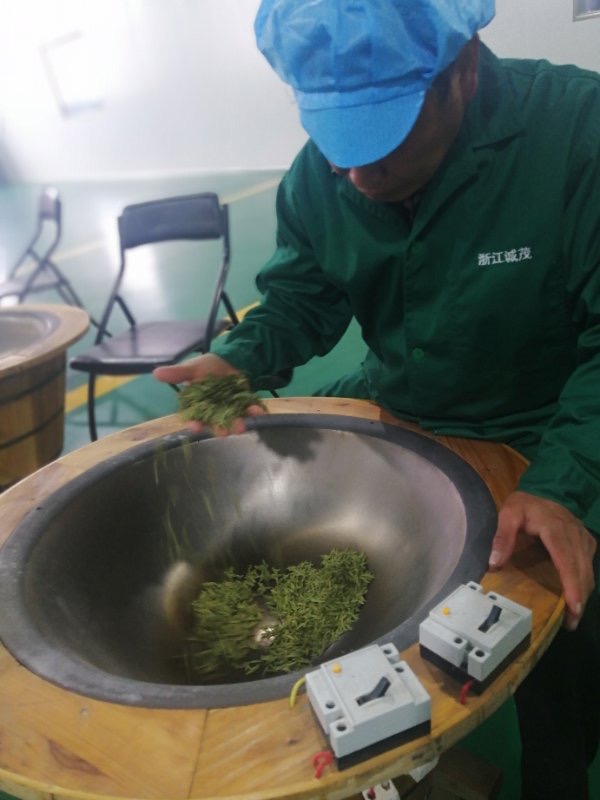 A man frying green tea by hand in a hot wok.