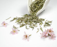 Dry leaves of Silver Needle pouring out of a small porcelain dish onto a white surface, with a few pale pink flowers strewn around and out of focus.