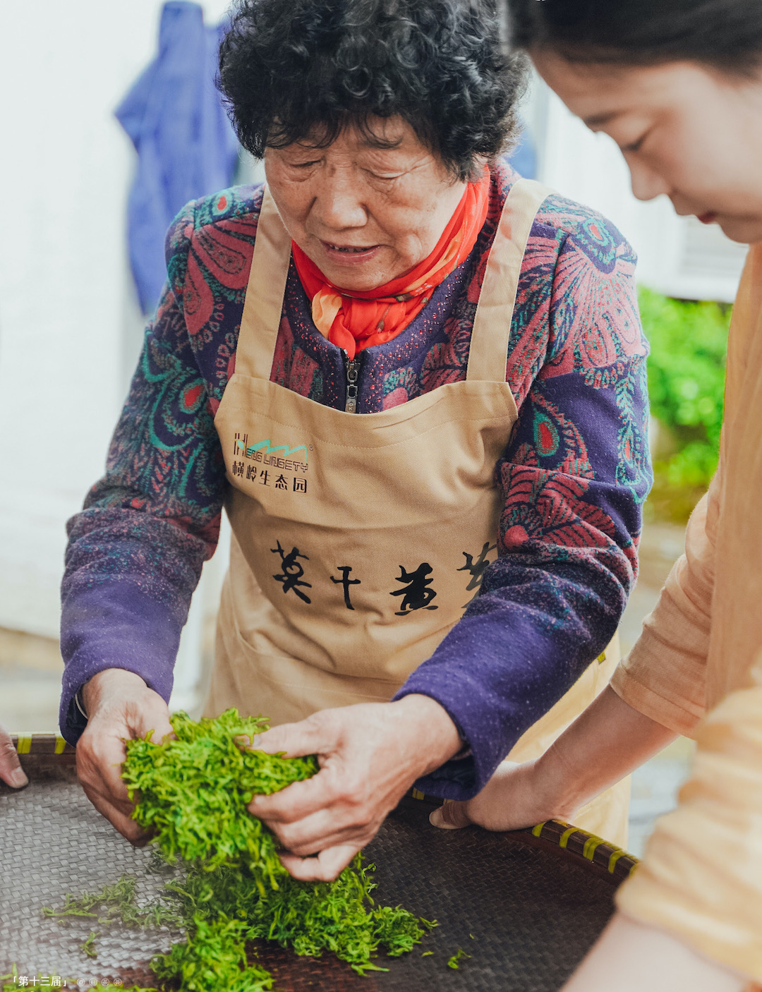An older woman in an apron kneading tea leaves on a woven bamboo tray while a young woman holds the tray steady for her.