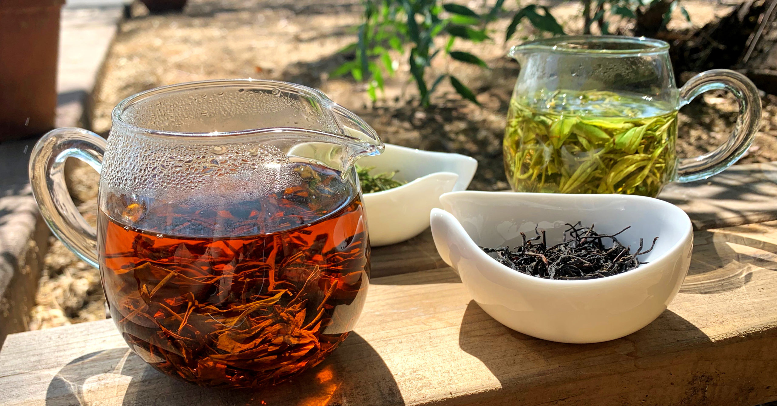 Two glass pitchers of green and black tea and two porcelain dishes of their dry leaves, outside on a wooden plank in the sunlight.