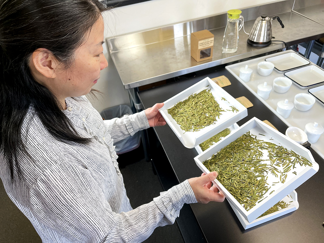 Zhuping holding up two trays of green Longjing tea leaves to examine their quality.