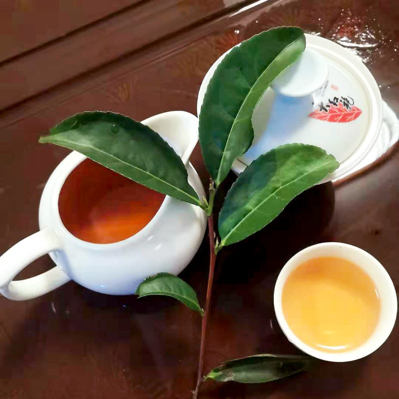 A white porcelain gaiwan, pitcher, and small cup filled with amber rock wulong tea, with a fresh green tea sprig laid over top of them.