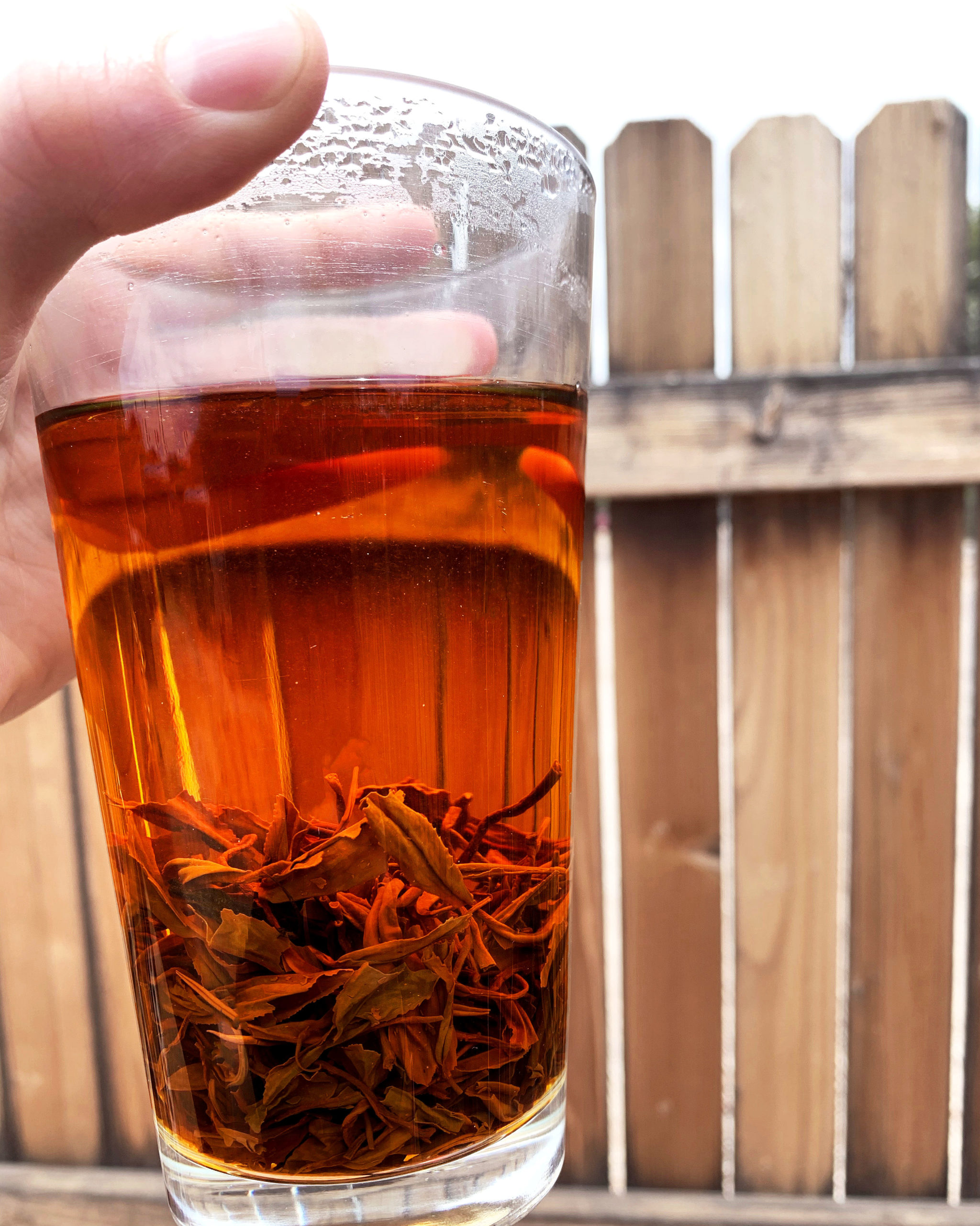 Holding a pint glass full of black tea up against a rustic wooden fence. The saturated leaves fill the bottom third of the cup.