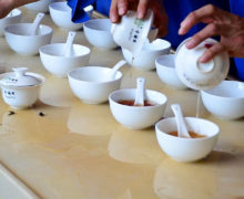 Several cupping sets lined up on a tea table, with gaiwans being emptied into them.