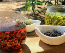Two glass pitchers of green and black tea and two porcelain dishes of their dry leaves, outside on a wooden plank in the sunlight.