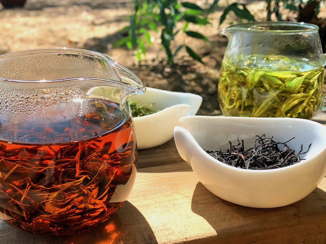 Two glass pitchers of green and black tea and two porcelain dishes of their dry leaves, outside on a wooden plank in the sunlight.