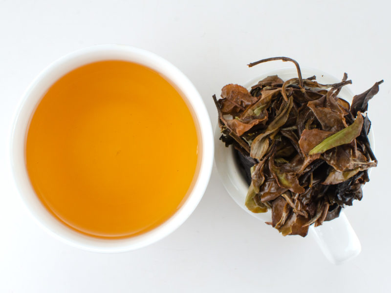 Cupped infusion of Yue Guang Bai (White Moonlight) white puer tea and strained leaves.