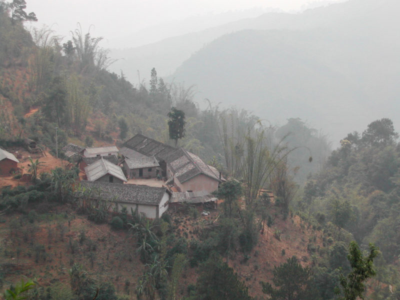 Village buildings among the trees on a misty mountainside.