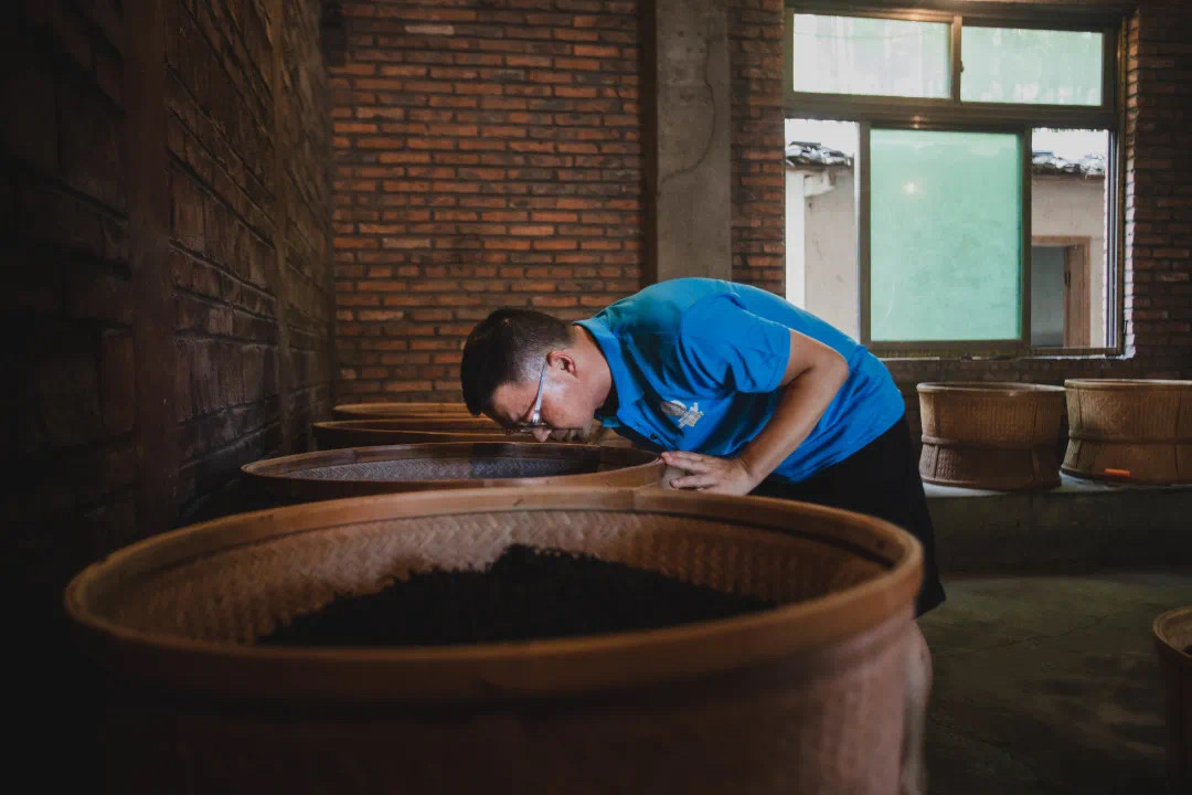 Tea maker Chen Zheng checking a basket of wulong tea during its charcoal roasting