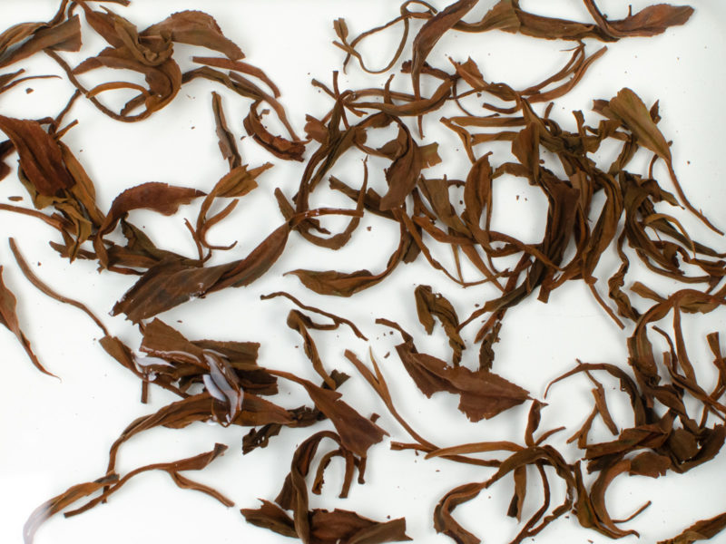 Zijuan Hong (Yunnan Purple Leaf Black) wet tea leaves floating in clear water.