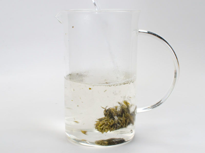 Chrysanthemum Green Blooming Tea rolling in water