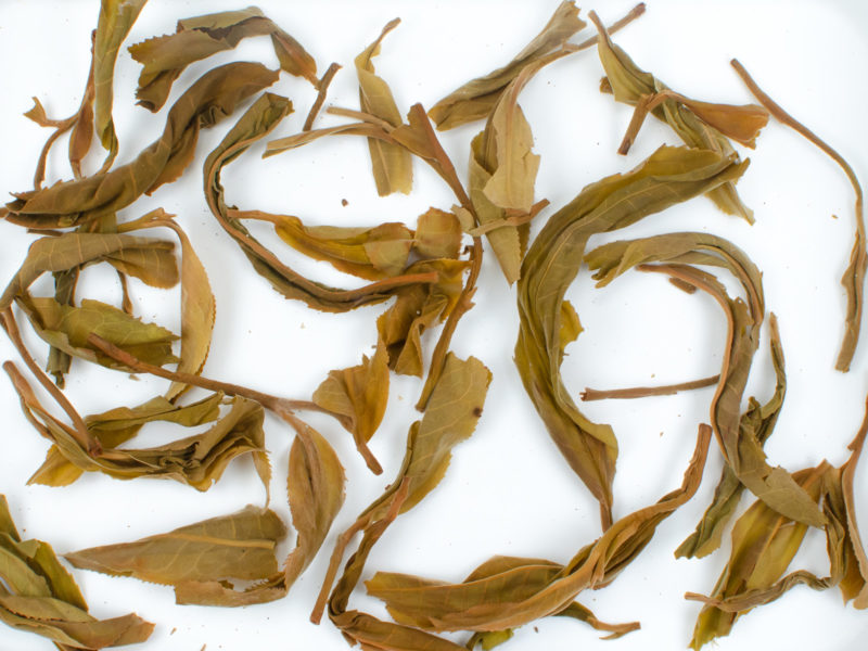 Laowushan (Laowu Mountain) wet tea leaves floating in clear water.