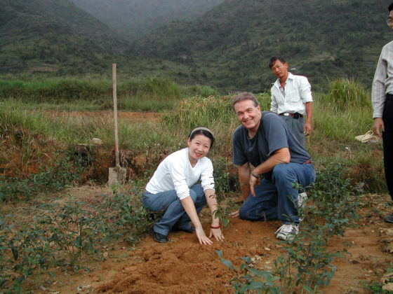 Two people kneeling to plant a small tea bush as a third looks on.