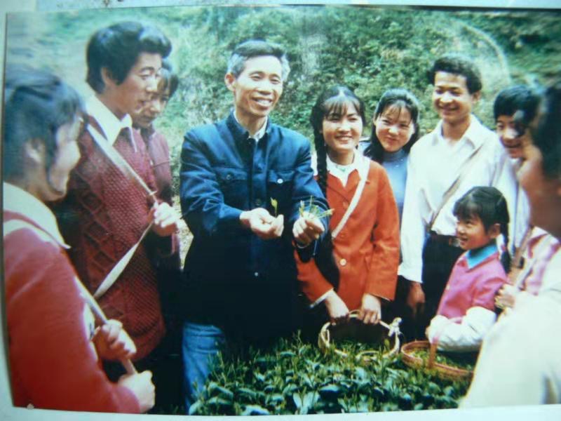 Wang Fangsheng (center, dark coat) and his son Wang Huizhou to his right (red sweater), examining a tea bush with Huangshan tea farmers.