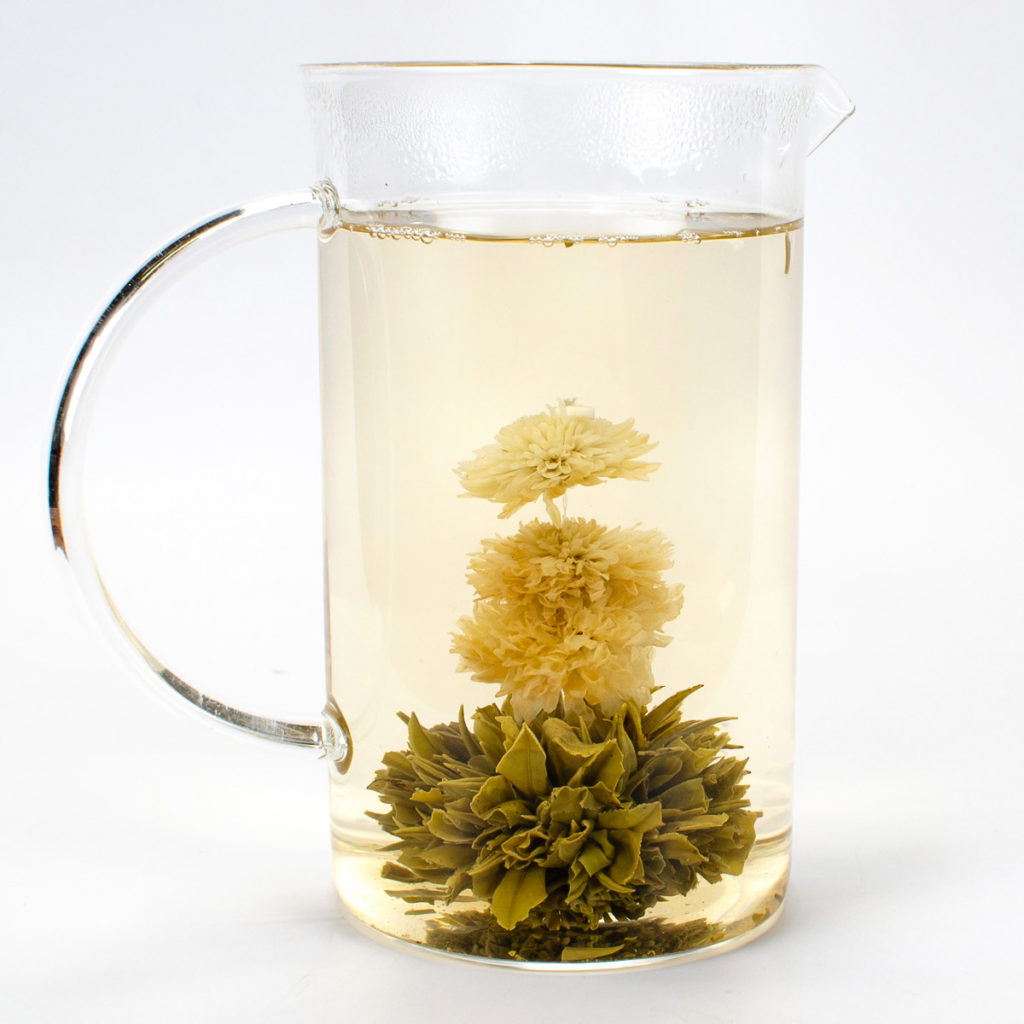 A full glass pitcher holding a fully bloomed ball of green tea with a column of large white chrysanthemum flowers springing from the center.