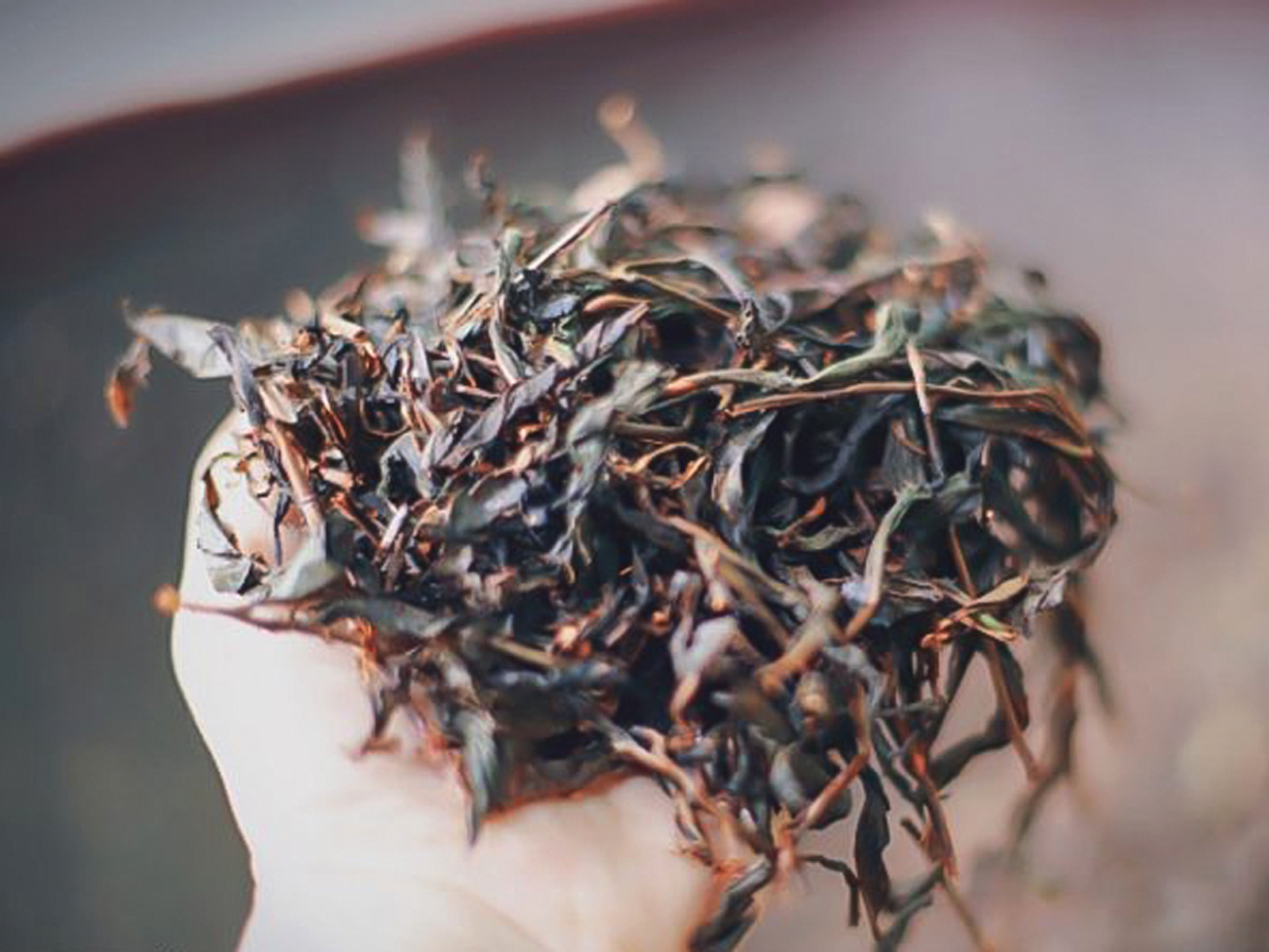 Black Tea Types, History & Production Seven Cups