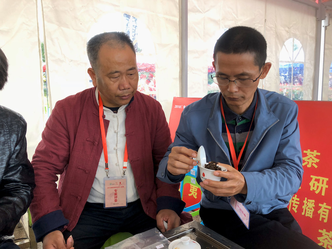 Two men seated next to a tea table in a large tent, one holding open a gaiwan of wet wulong tea leaves for them to examine.