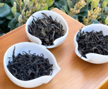 Three porcelain dishes full of dark dry tea leaves, one a long thin and twisted black tea, one fluffy and dark green with larger leaves and some buds, and one a broader dark twisted rock wulong.