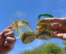 Glasses of tea buds infusing in water touch in a toast against a sunny blue sky.