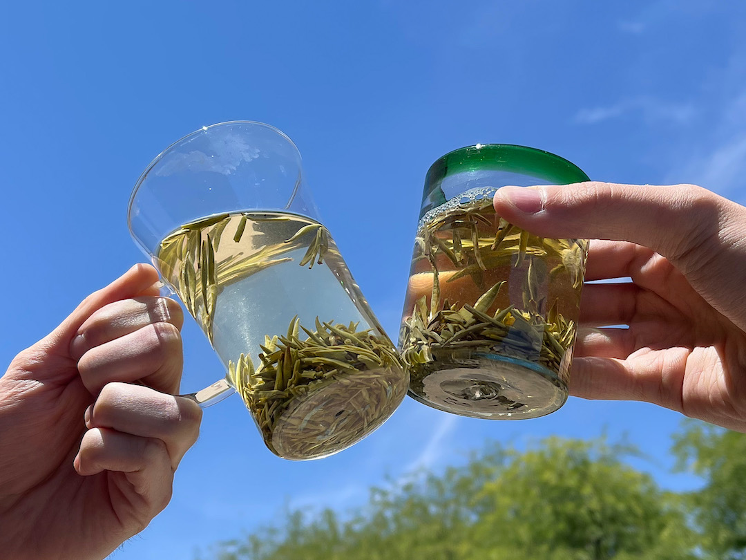 Glasses of tea buds infusing in water touch in a toast against a sunny blue sky.