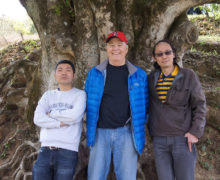 Three men standing together in front of the trunk of an enormous tea tree that is wider than the three of them standing abreast.