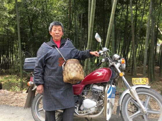 A woman wearing a smock and tea plucking basket stands beside a red motorcyle in front of a bamboo grove.