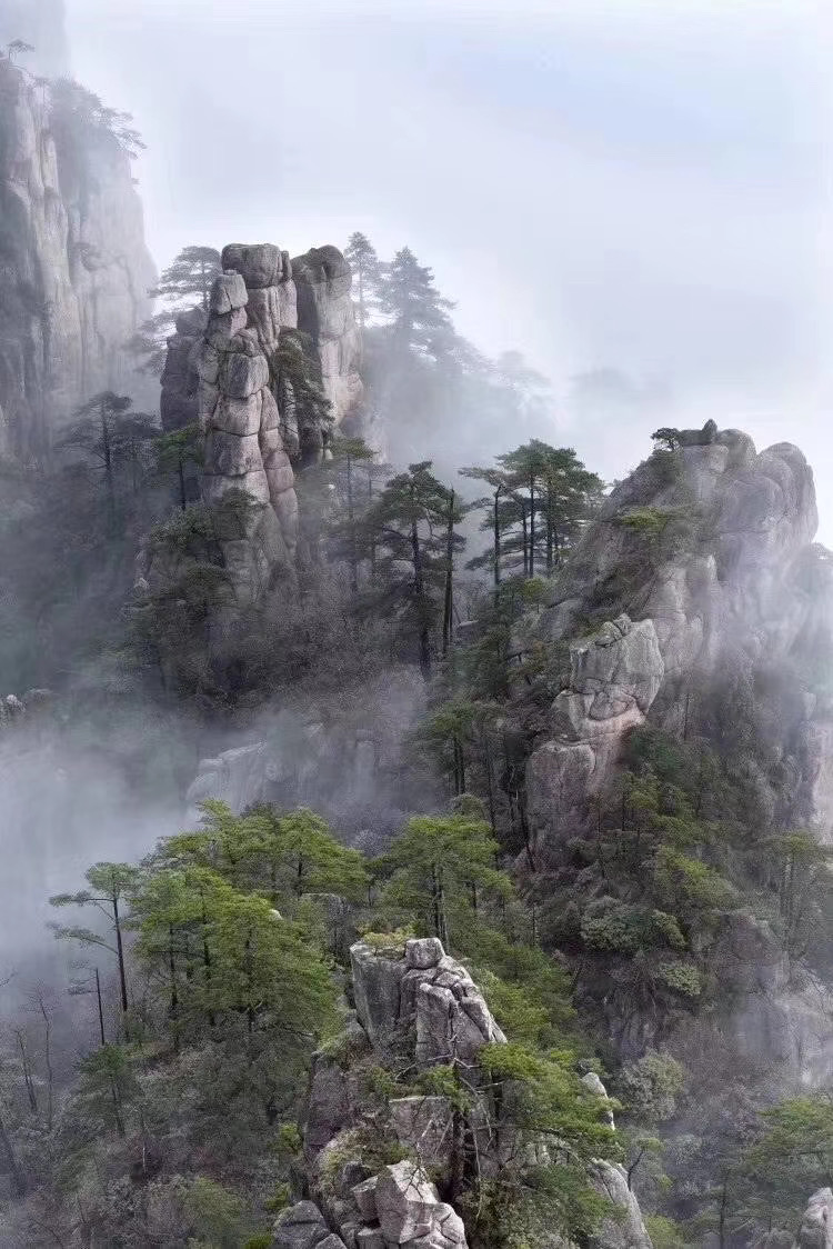 The picturesque pine-covered foggy peaks of Huangshan.