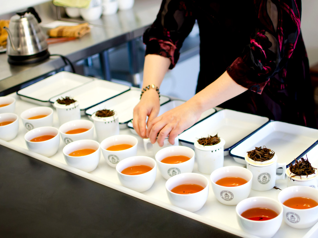 A lineup of a dozen tasting bowls of amber-red colored black tea all lined up on a tasting table. A person’s arms in half-length sleeves adjust the brewing cups to display the wet tea leaves.
