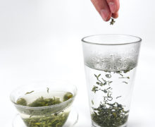 A hand sprinkling dry green tea leaves into a pint glass of hot water where they sink to the bottom and unfurl. Next to it, a glass gaiwan brewing already opened leaves.