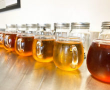 Several pitchers of black tea of different hues lined up on a stainless steel table.