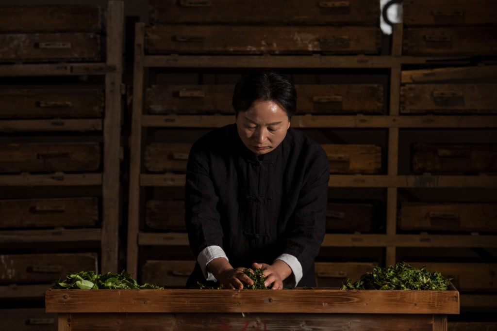 Qimen black tea maker Wang Chang kneads fresh tea leaves after withering on a table.