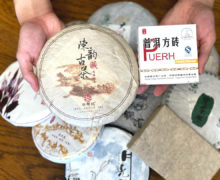 Two wrapped cakes of puer tea are held above a pile of other puer teas on a wooden table.