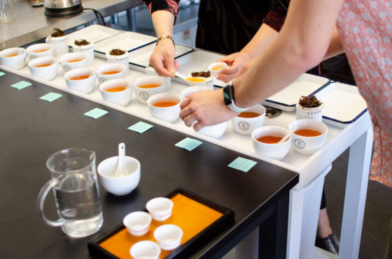 Two people hovering over a table of about a dozen brewed teas for comparative tasting, only their arms in view.