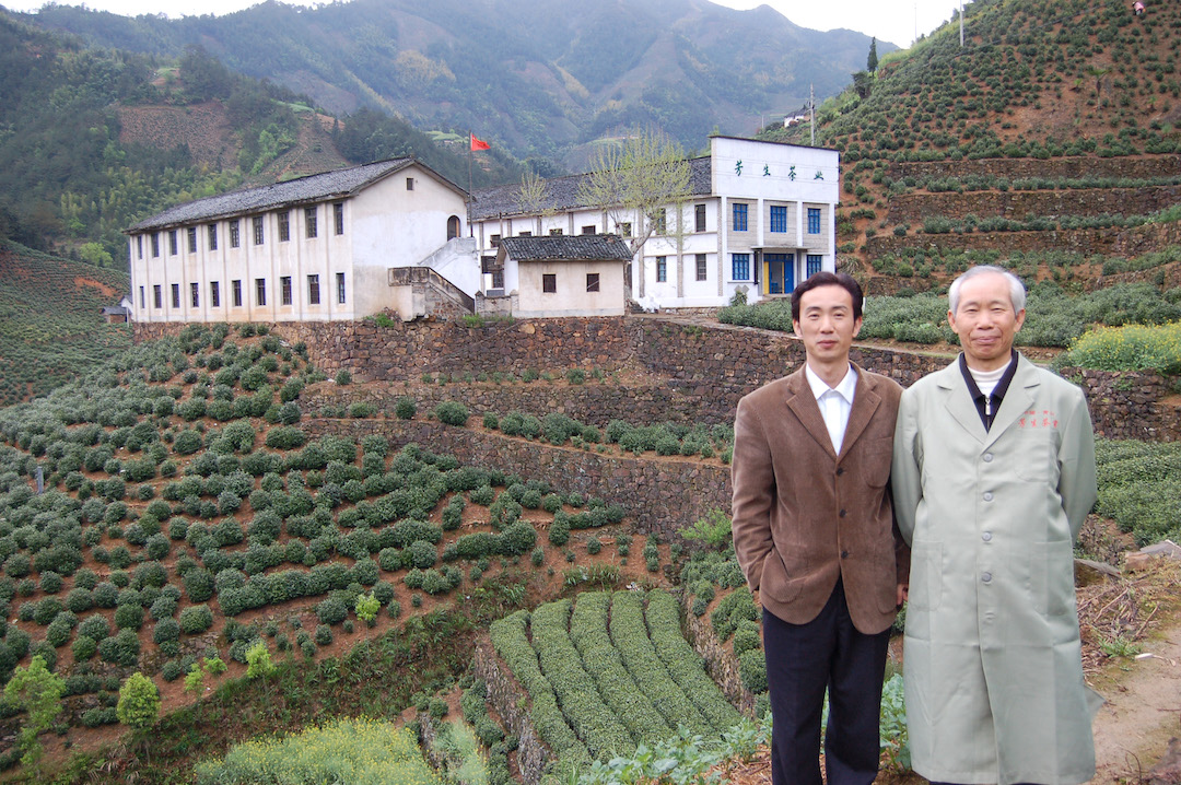 wo men, one older and one younger, standing on a mountain slope in front of a clean white tea processing factory with a black tiled roof, surrounded by tea bushes.