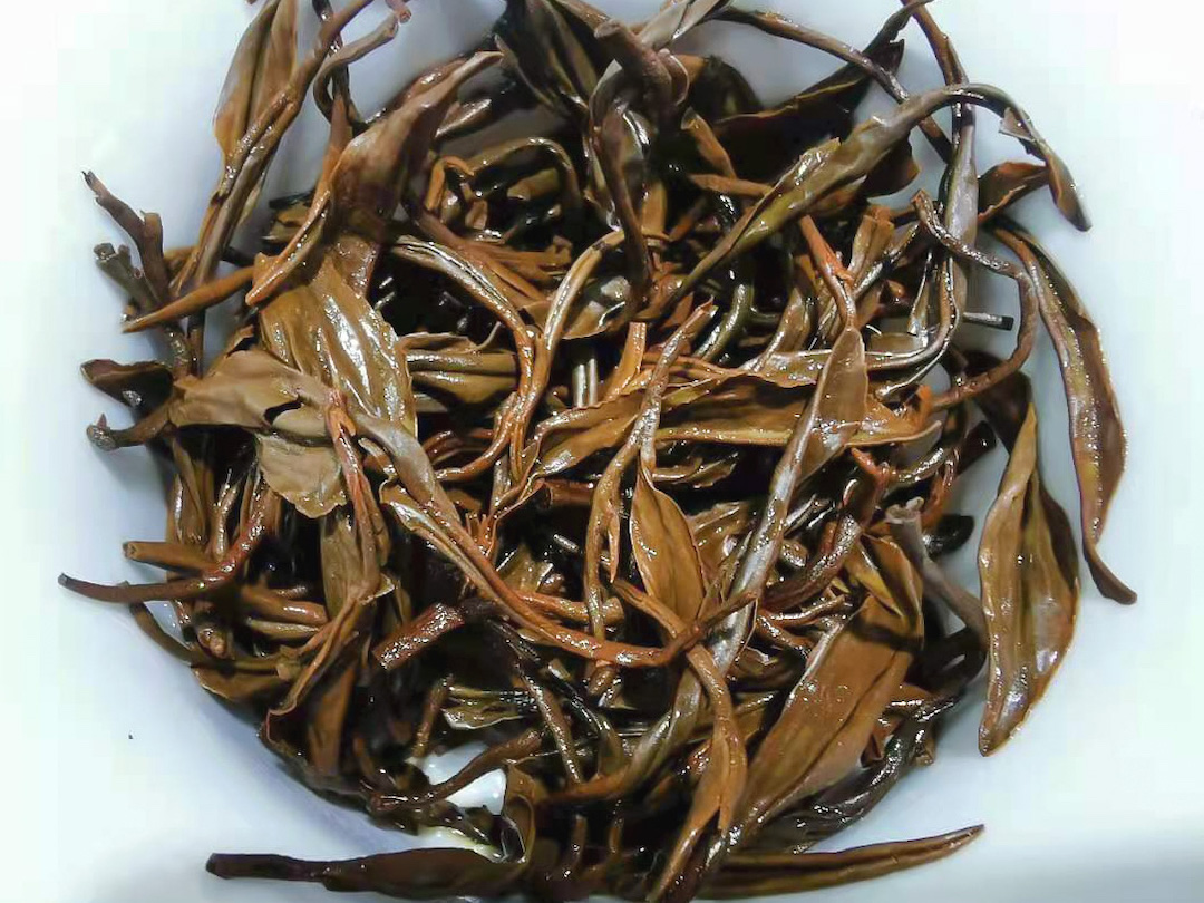 Close-up of the wet tea leaves in a drained white gaiwan, showing lovely dark golden brown tones with hints of green.