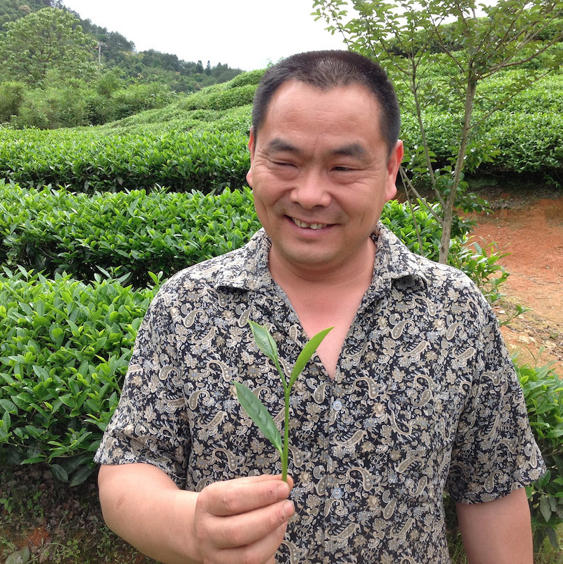 A smiling man standing in a hillside tea garden holding a fresh sprig of tea.