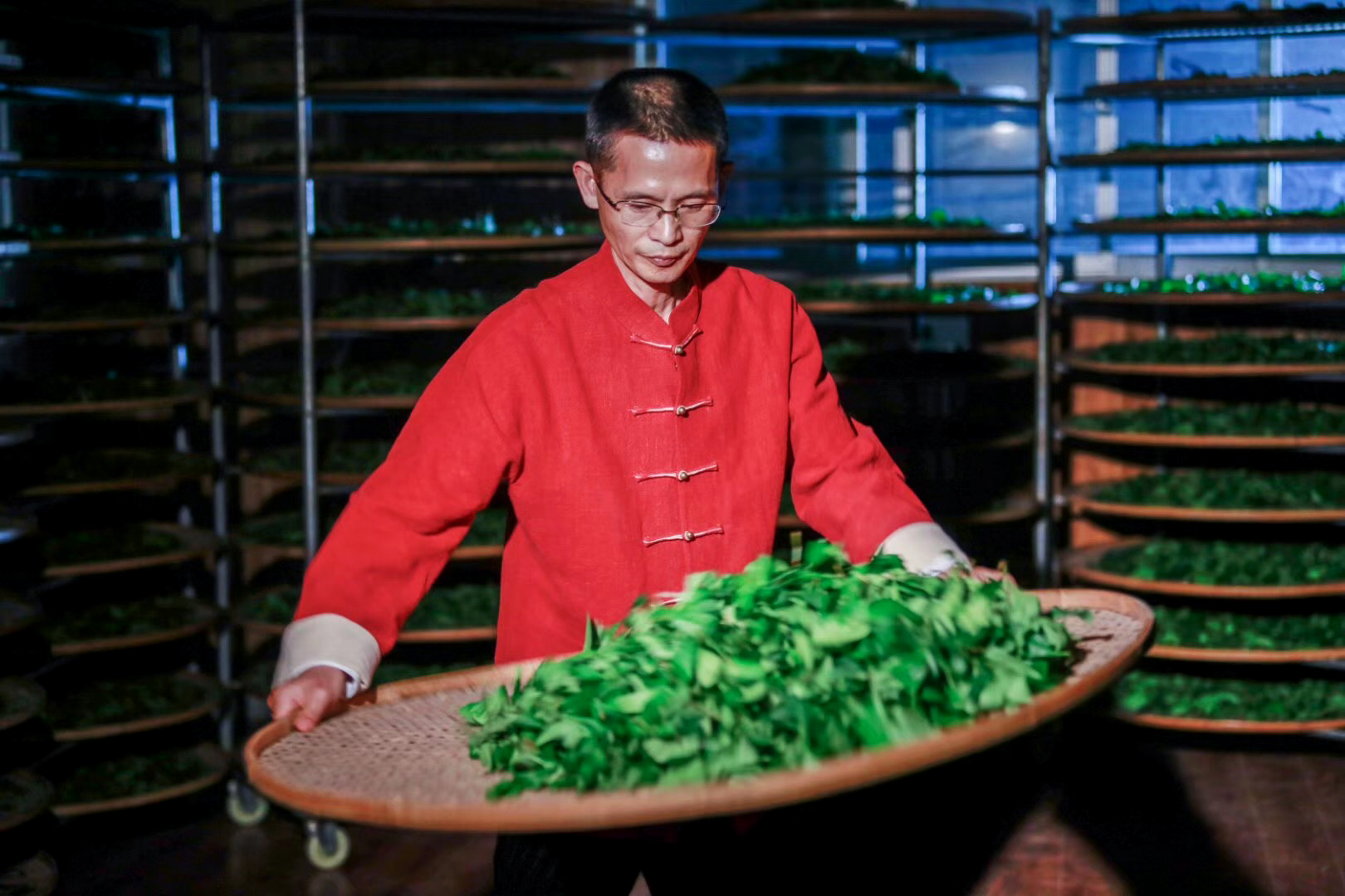 A man in a formal red jacket tossing tea leaves on a large flat bamboo tray, with dozens more trays on racks behind him.
